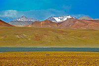 bolivia 426  rr 